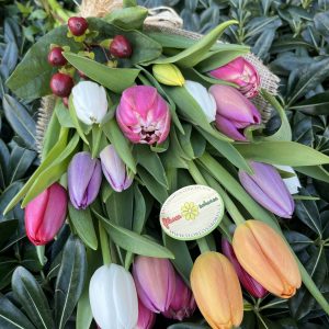tulipanes concepcion