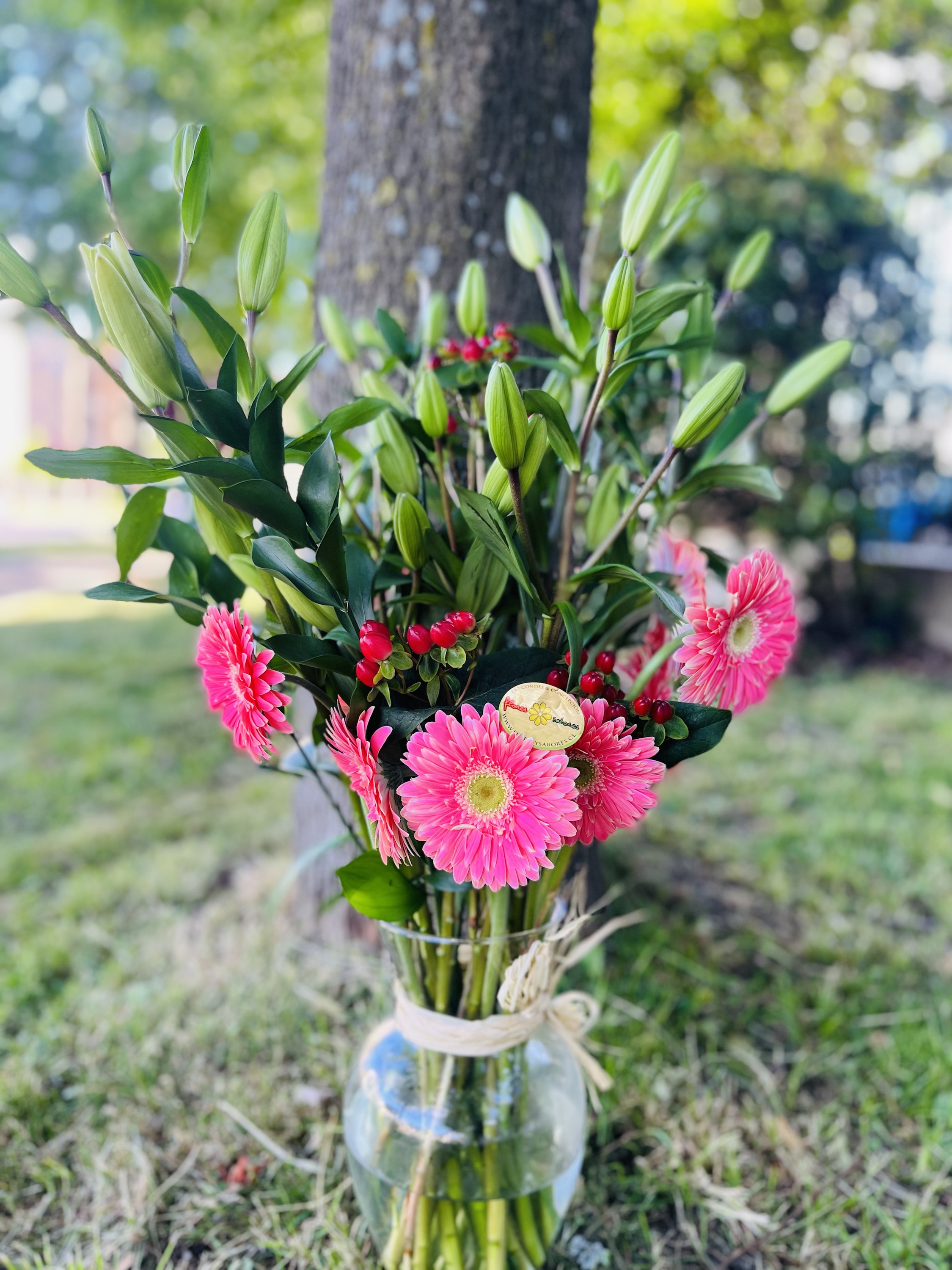 Index of /wp-content/uploads/2023/12/