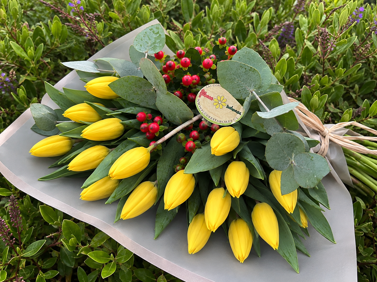 d5d24f2f-d6a4-45e9-8ec9-f8fec46d1810 flores amarillas